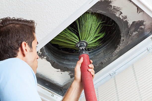 Best Home Air Vent Cleaning  in Union City, MI